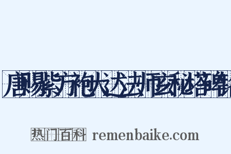 唐赐紫方袍大达法师玄秘塔碑铭是什么意思的图片